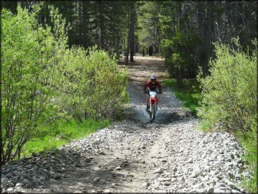 Honda CRF Motorcycle traversing the water at Corral OHV Trail