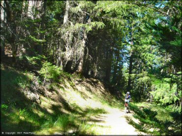 Girl on a Honda CRF Trail Bike at Pilot Creek OHV Trails