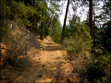 Humbug OHV Area Trail