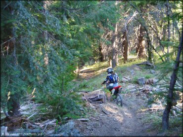 Female rider on a Honda CRF Dirt Bike at Pilot Creek OHV Trails