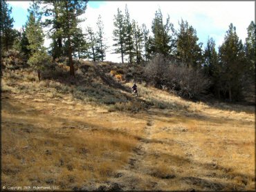 Honda CRF Dirt Bike at Leviathan Recreation Area Trail