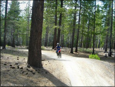 Honda CRF Motorcycle at Corral OHV Trail