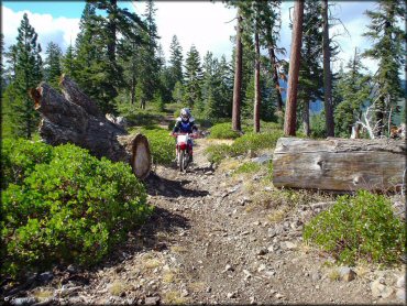 Prosser Hill OHV Area Trail