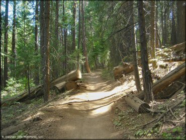 Some terrain at Elkins Flat OHV Routes Trail