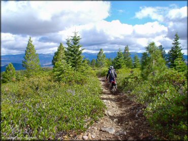 Honda CRF Dirt Bike at Prosser Hill OHV Area Trail