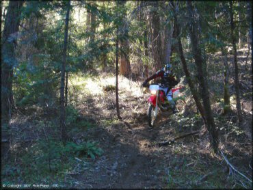 Honda CRF Motorcycle at Pilot Creek OHV Trails