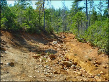 Rattlesnake Ridge Area Trail