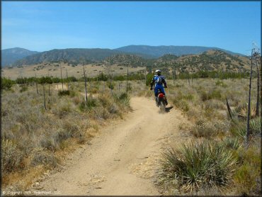 Honda CRF Motorcycle at Hungry Valley SVRA OHV Area