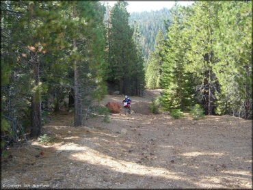 Honda CRF Trail Bike at Leviathan Recreation Area Trail