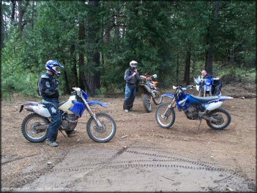 OHV at Crandall Peak And Deer Creek OHV Area Trail