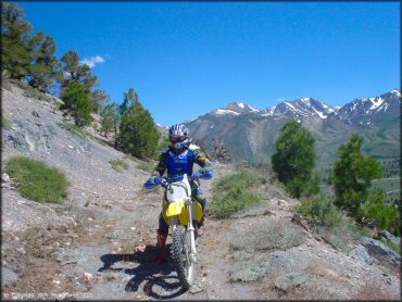 Mammoth Lakes Trail