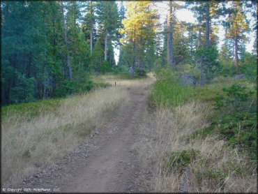 Example of terrain at Interface Recreation Trails