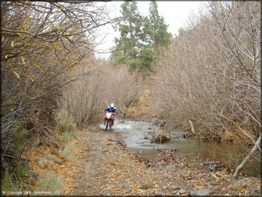 Honda CRF Motorbike in the water at Leviathan Recreation Area Trail