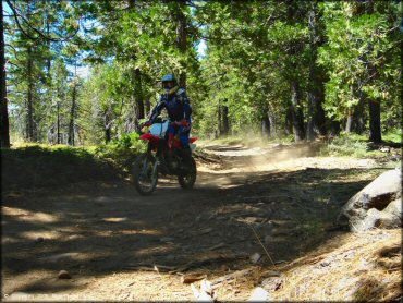 Honda CRF Motorcycle at Gold Note Trails