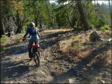 Honda CRF Motorcycle at Black Springs OHV Network Trail