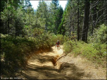 Honda CRF Motorbike at Miami Creek OHV Area Trail