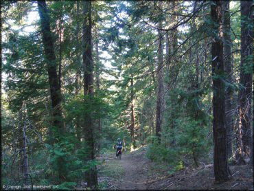 Girl on Honda CRF Dirt Bike at Pilot Creek OHV Trails