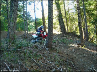 Girl riding a Honda CRF Motorcycle at Pilot Creek OHV Trails