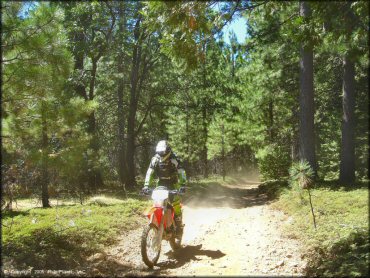 Honda CRF Trail Bike at Gold Note Trails