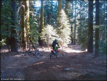 Honda CRF Dirt Bike at Black Springs OHV Network Trail