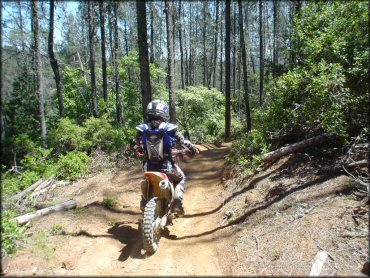 Honda CRF Off-Road Bike at South Cow Mountain Trail