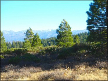 Scenery from Billy Hill OHV Route Trail