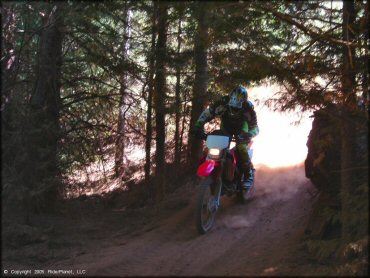 Honda CRF Off-Road Bike at Gold Note Trails