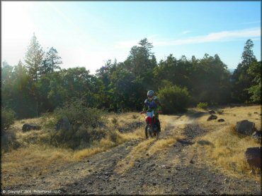 Honda CRF Dirt Bike at Interface Recreation Trails