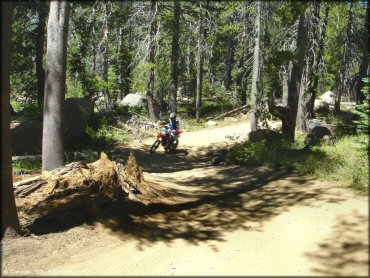 Honda CRF Dirt Bike at Lower Blue Lake Trail