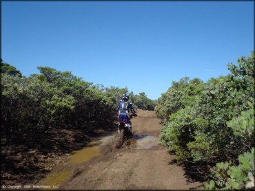 Honda CRF Dirtbike crossing some water at South Cow Mountain Trail