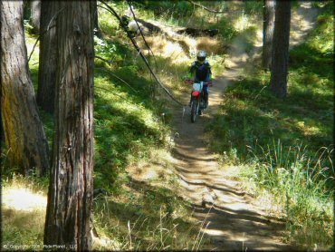 Honda CRF Motorcycle at Miami Creek OHV Area Trail