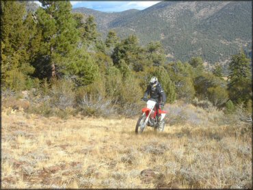 Honda CRF Dirtbike at Leviathan Recreation Area Trail