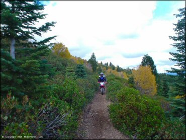 Honda CRF Trail Bike at Prosser Hill OHV Area Trail