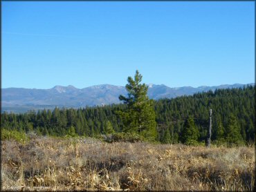 OHV at Billy Hill OHV Route Trail