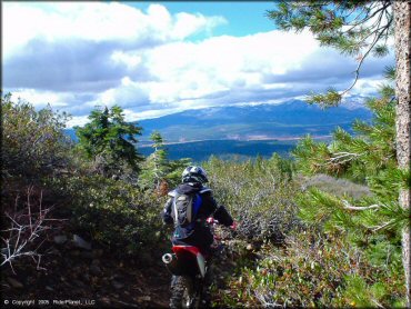 Honda CRF Motorcycle at Prosser Hill OHV Area Trail