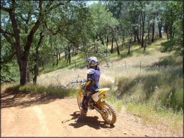 OHV at Mammoth Bar OHV OHV Area