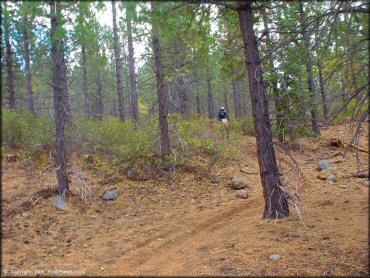 Honda CRF Motorcycle at Prosser Hill OHV Area Trail