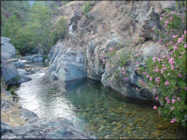 Scenery at Chappie-Shasta OHV Area Trail