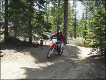 Honda CRF Trail Bike at Twin Peaks And Sand Pit Trail