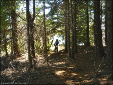 Female rider on a Honda CRF Trail Bike at High Dome Trail