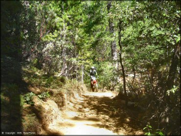 Honda CRF Dirtbike at Interface Recreation Trails