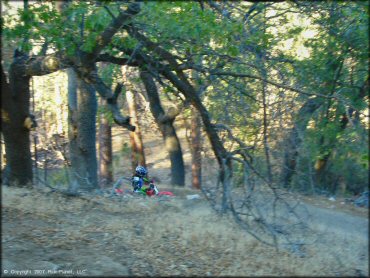 Honda CRF Dirt Bike at Lake Arrowhead Trail