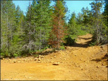 Rattlesnake Ridge Area Trail