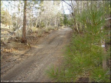 Terrain example at Leviathan Recreation Area Trail