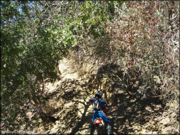 Honda CRF Dirt Bike at Santa Clara County Motorcycle Park OHV Area