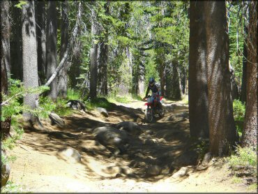 Honda CRF Motorcycle at Lower Blue Lake Trail