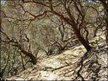 Santa Clara County Motorcycle Park OHV Area