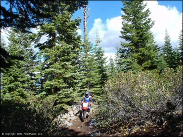 Honda CRF Dirtbike at Prosser Hill OHV Area Trail