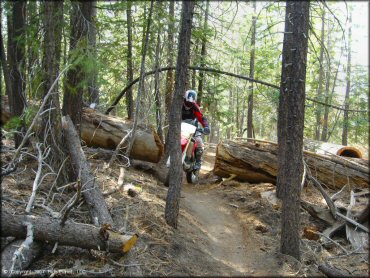 Honda CRF Motorcycle at Corral OHV Trail