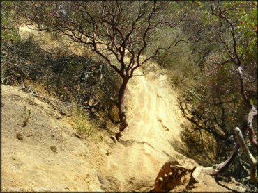 Some terrain at Santa Clara County Motorcycle Park OHV Area